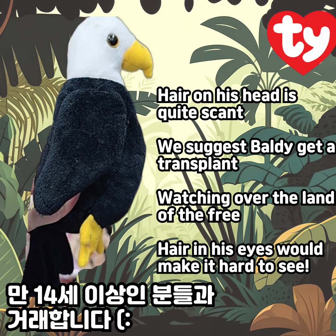 [TY인형] 민둥이 독수리 인형 Baldy!