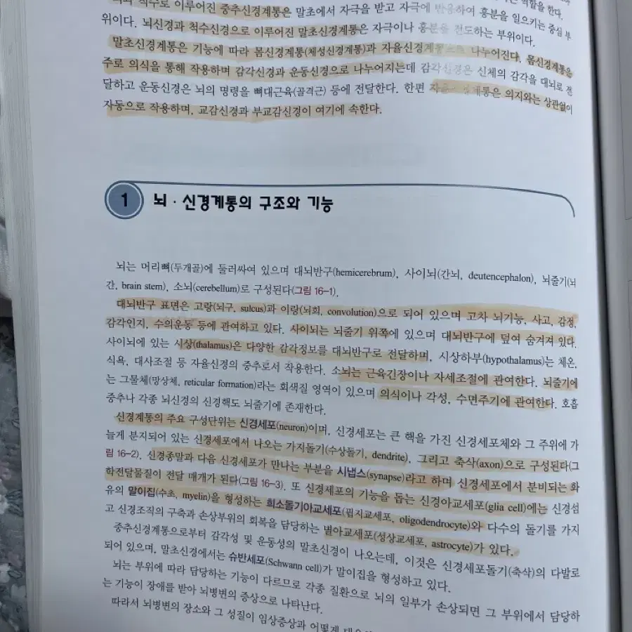 쉽게 배우는 핵심 병리학 의학교육