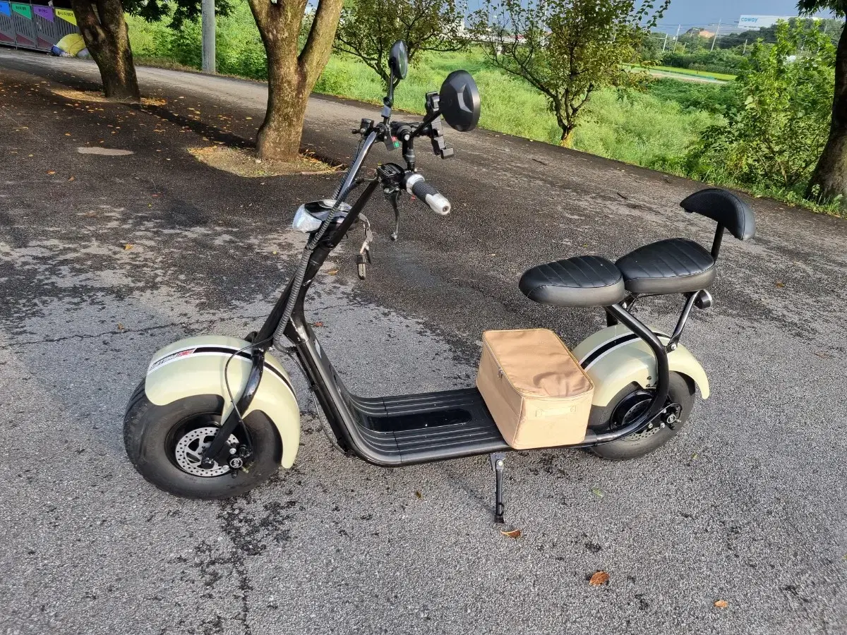 Philips Harley2 Person Electric Scooter High Capacity67.2V50A