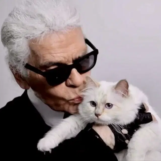 KARL LAGERFELD 칼 라거펠트 선글라스