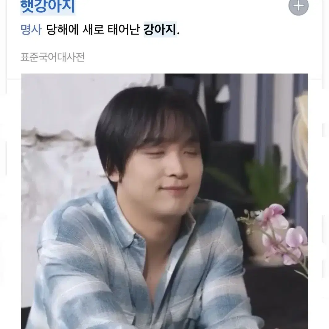 엔시티 인형 양도 받아요