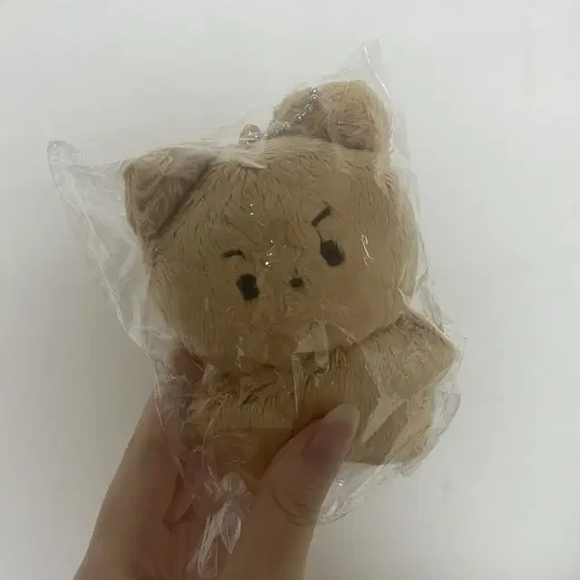 달곰이 쥬냥이 양도