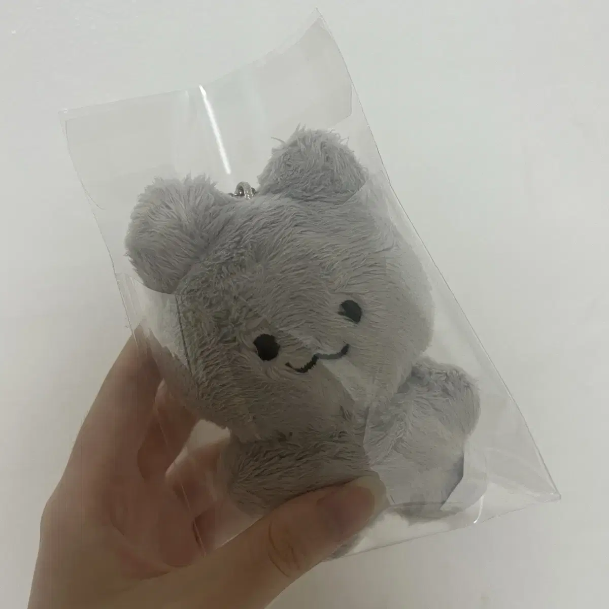 달곰이 쥬냥이 양도