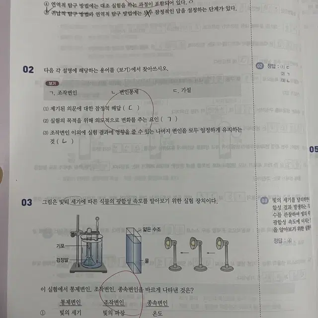 백호t 생명1