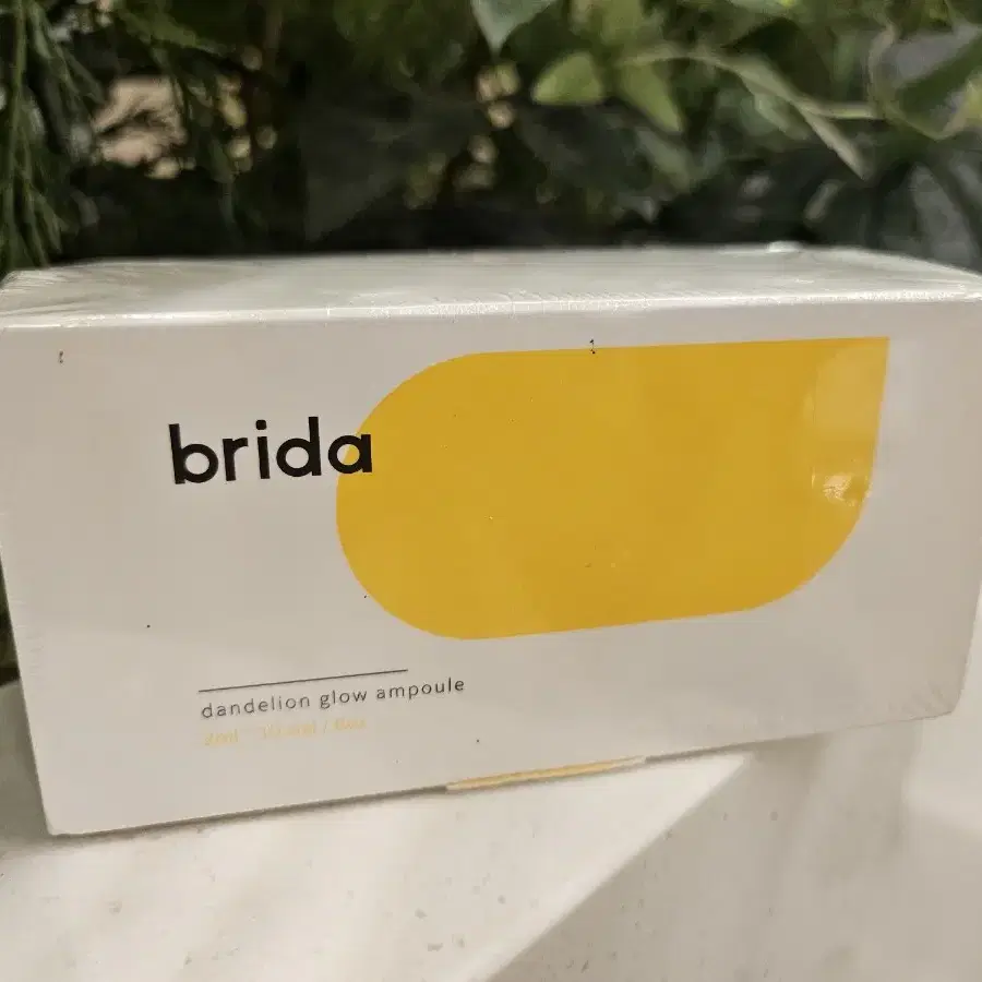 brida 브리다 단델리온 앰플 (민들레 앰플) 새상품