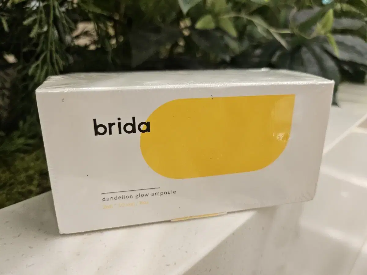 brida 브리다 단델리온 앰플 (민들레 앰플) 새상품