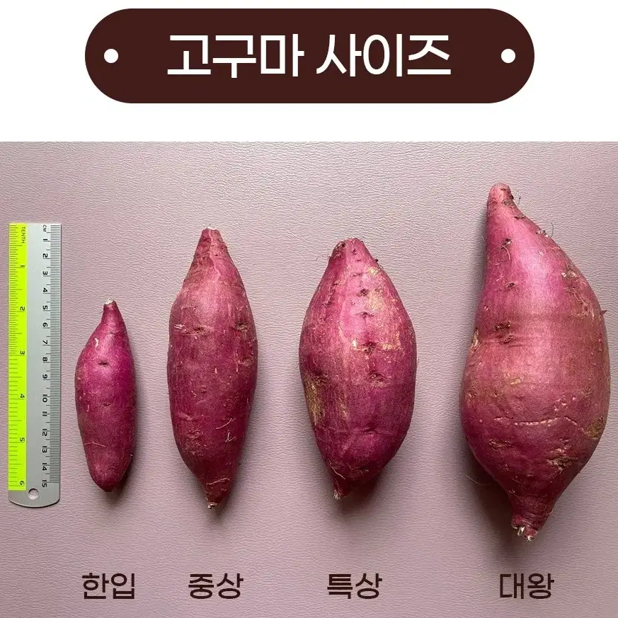 할인) 해남 햇  꿀 고구마 5kg 21,900 다이어트 고양이간식