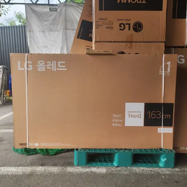 엘지 OLED65인치티비