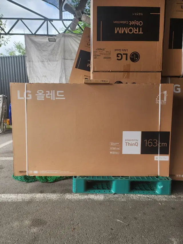 엘지 OLED65인치티비