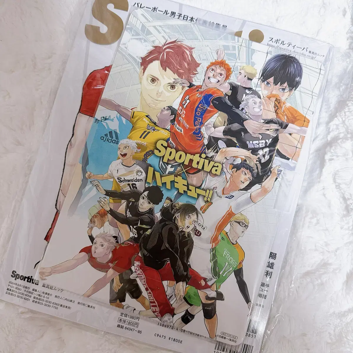 Includes pre-order benefit haikyuu Spotify Magazine