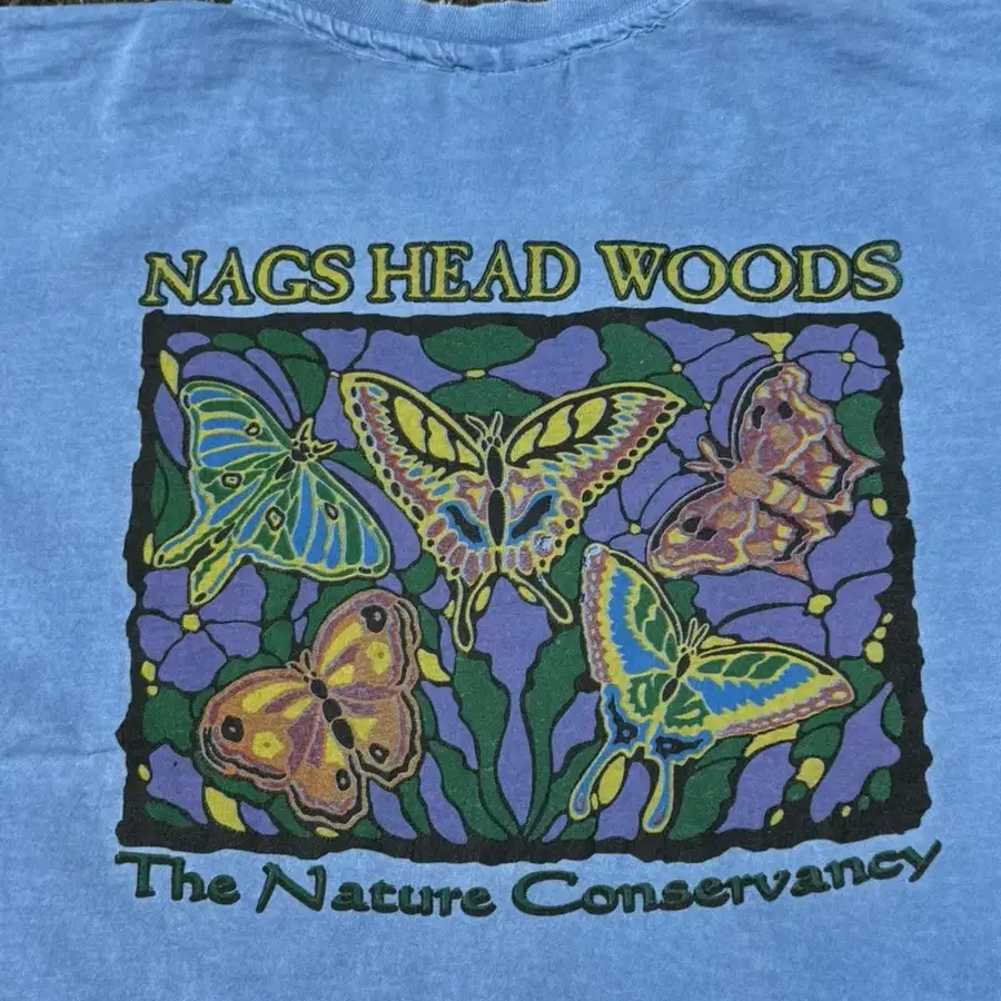 90s Nags head woods