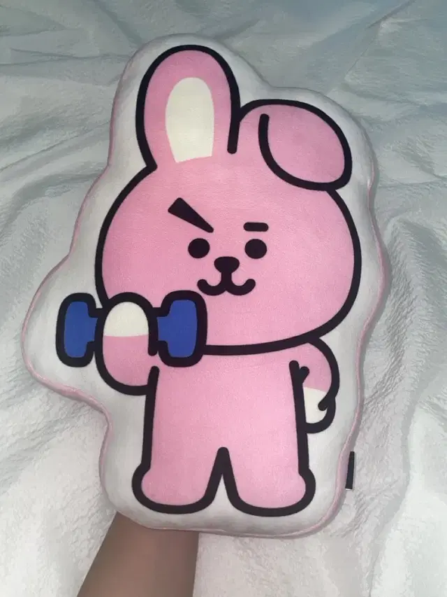 BT21 cooky 쿠키 인형