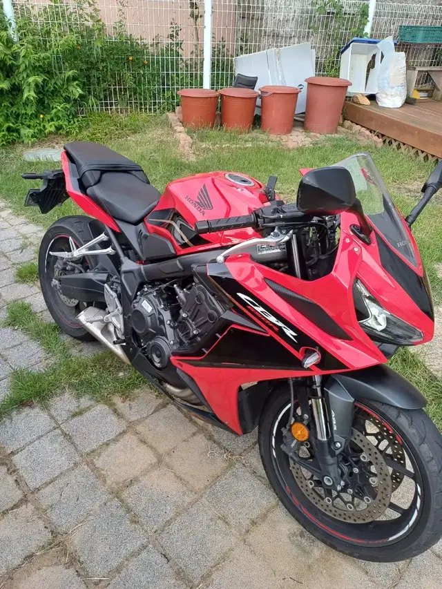 혼다 CBR650R 2023년 6월