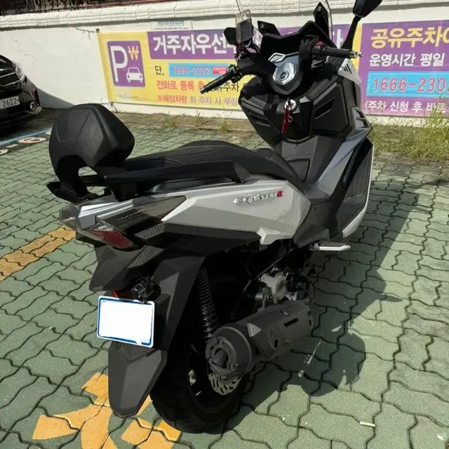 24년식 크루심 알파 125