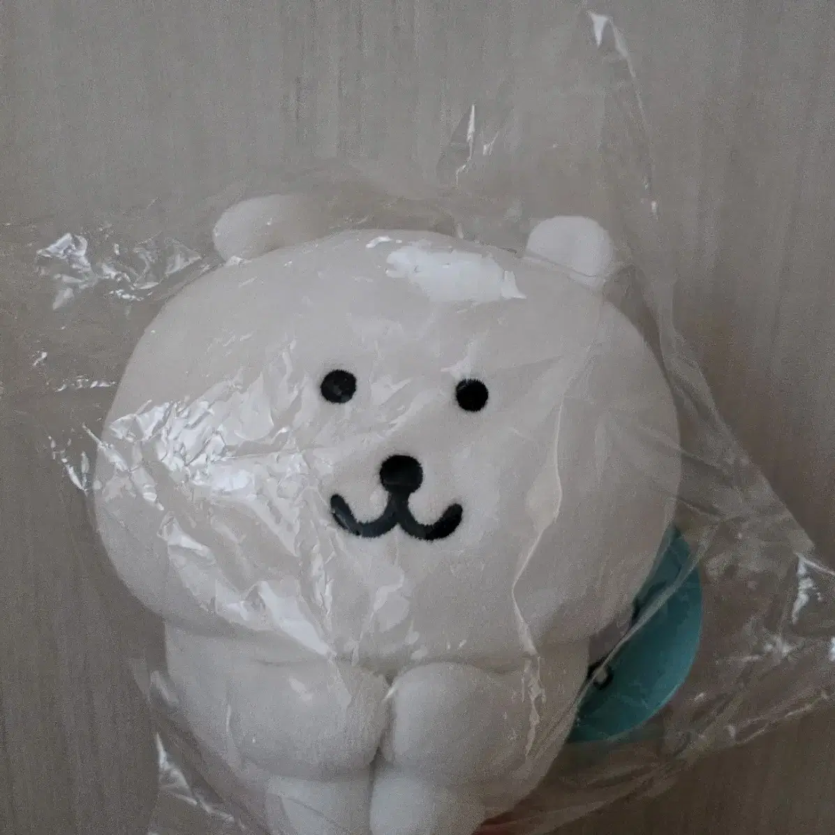 체육 꼬옥 앉은 농담곰 판매합니다!