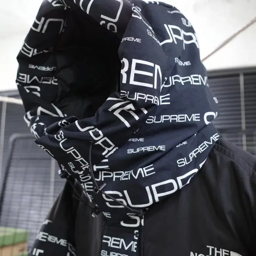 21FW Supreme x The North Face Coldwork