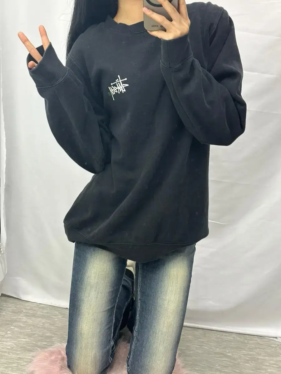 Stussy Basic Big Logo Man to Man (M)