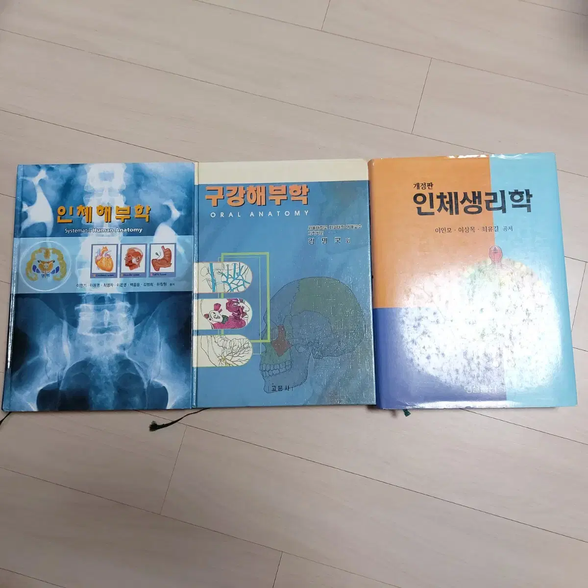 인체해부학, 구강해부학, 인체생리학