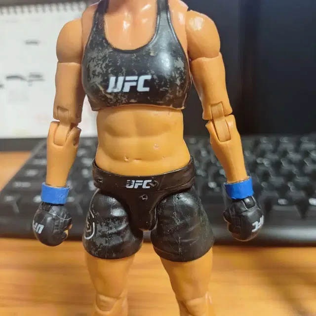 UFC WWE 피규어