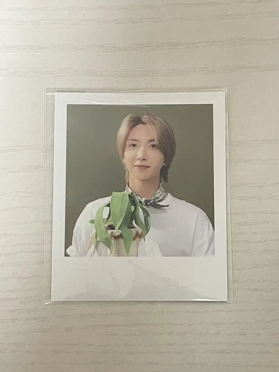 Super Juniors leeteuk seasons greetings pola Sell