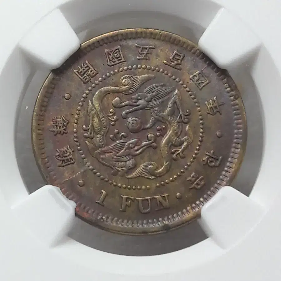 1895년 대한민국 조선 개국504년 한푼 NGC MS62 미사용 황동화