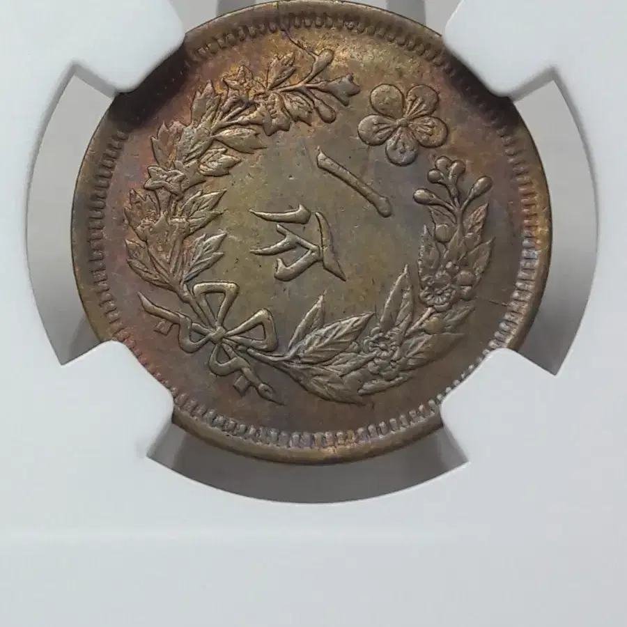 1895년 대한민국 조선 개국504년 한푼 NGC MS62 미사용 황동화