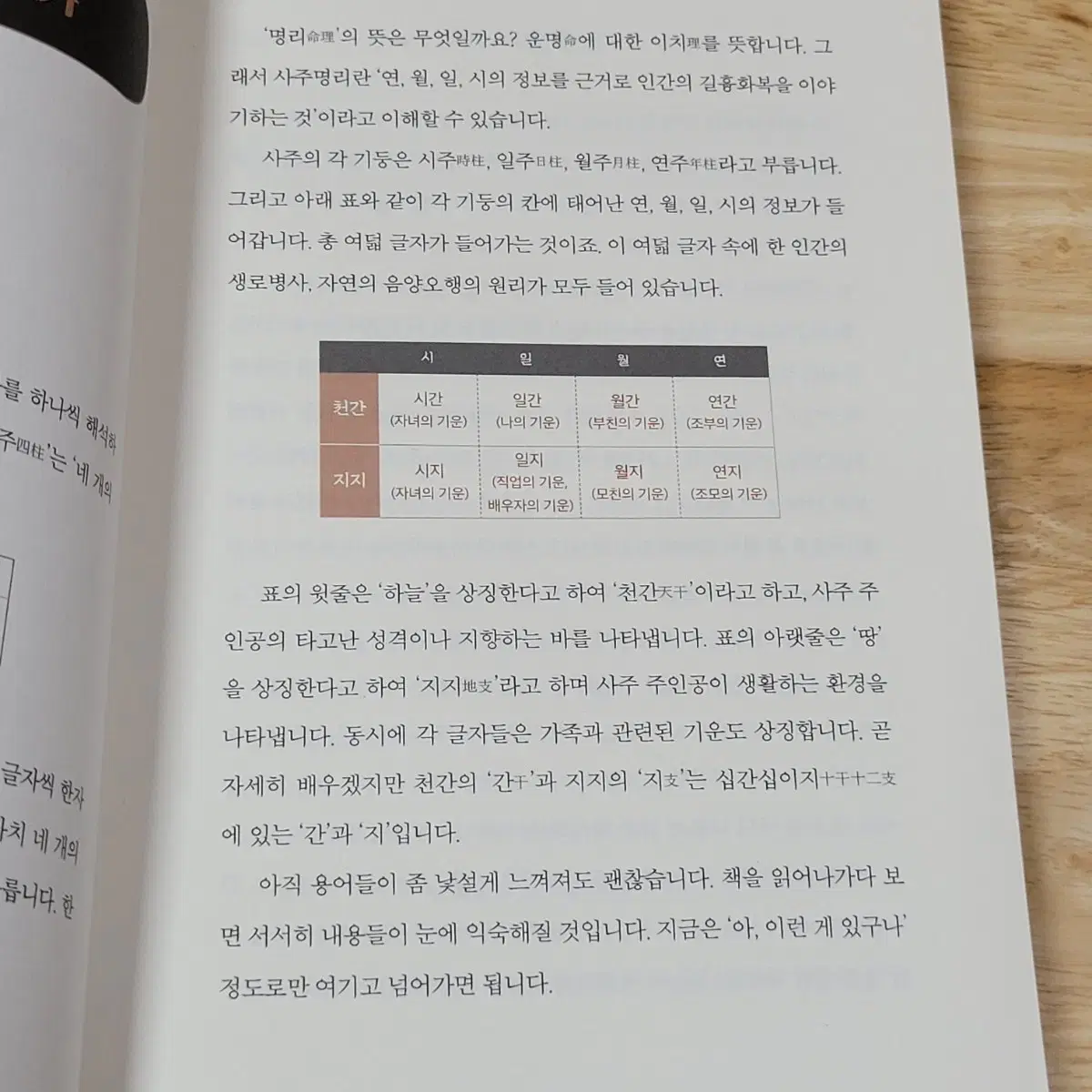 혼자 시작하는 사주명리 공부 책