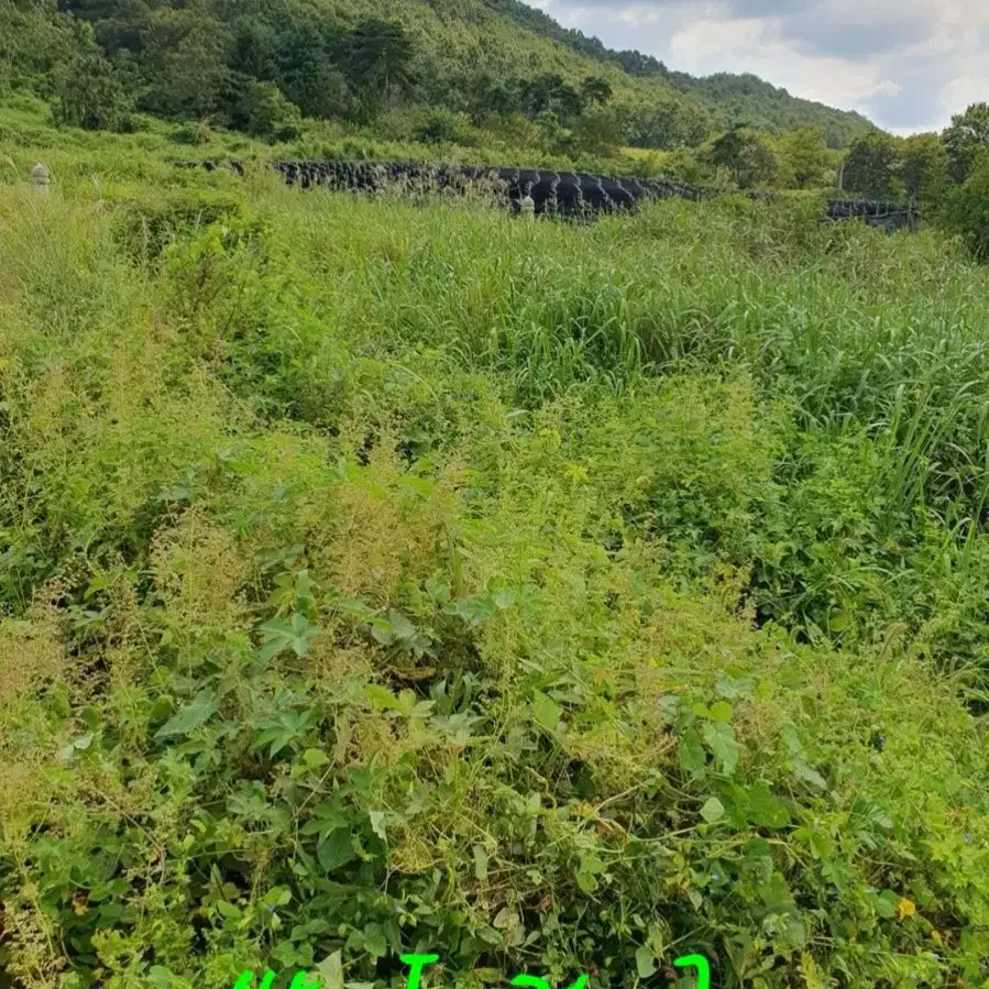 [전북] 예초 및 벌초 준비하세요!