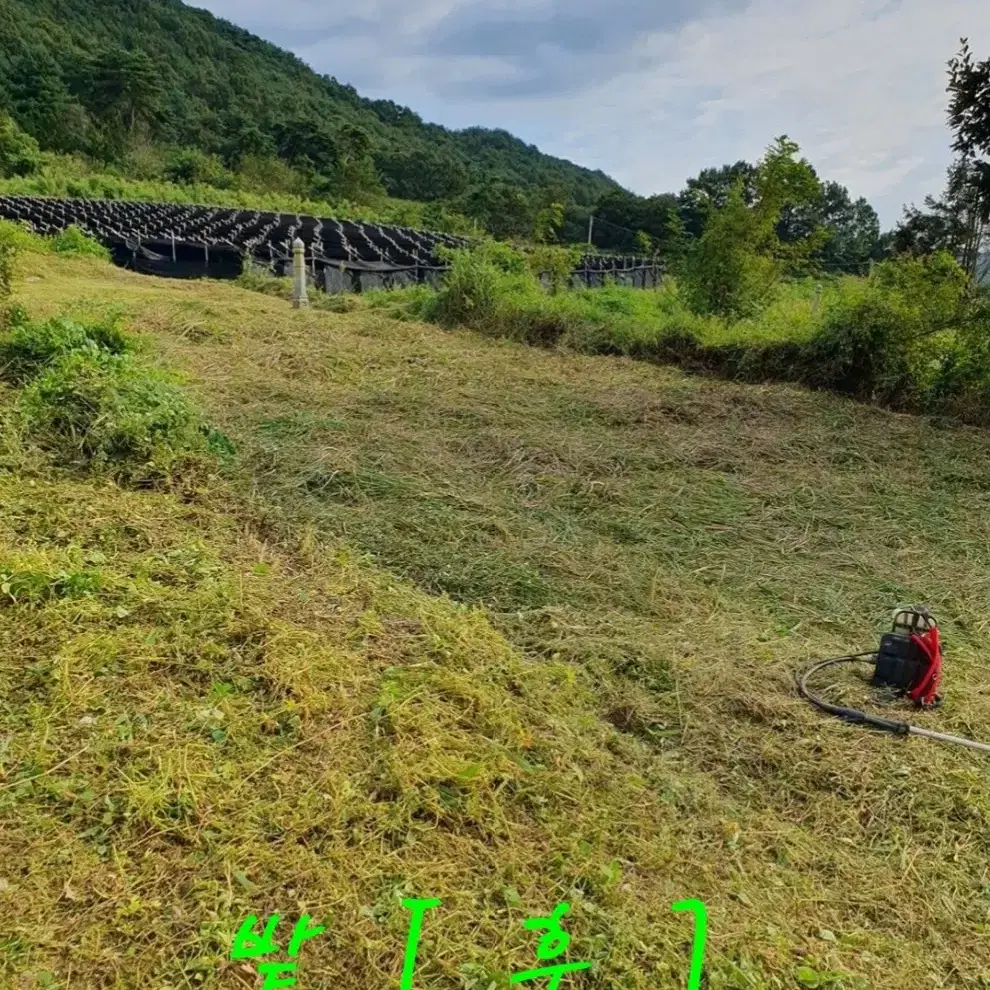 [전북] 예초 및 벌초 준비하세요!