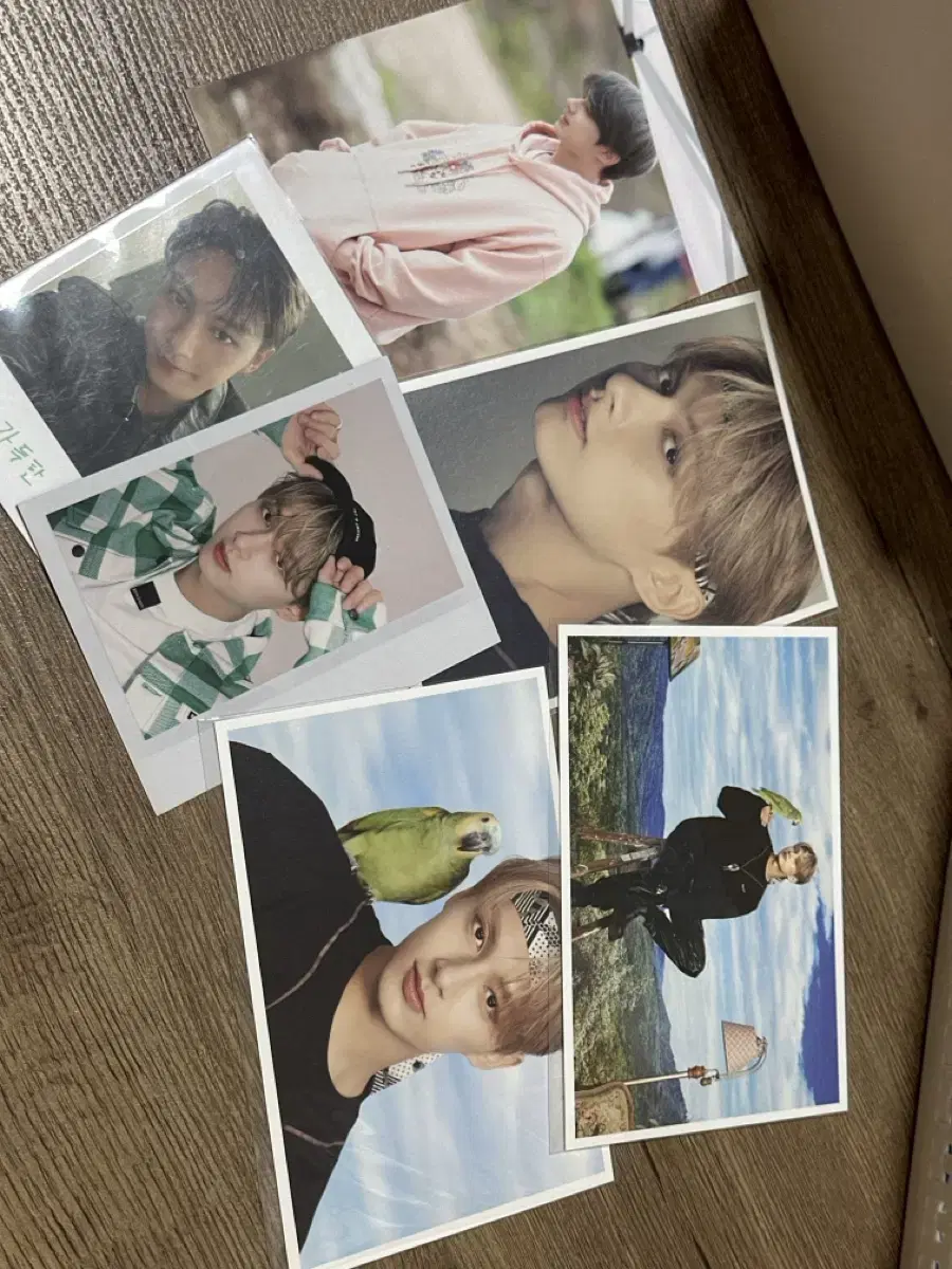 Jun Hwi Moon Dikon photocard postcard wts intheforest postcard photocard