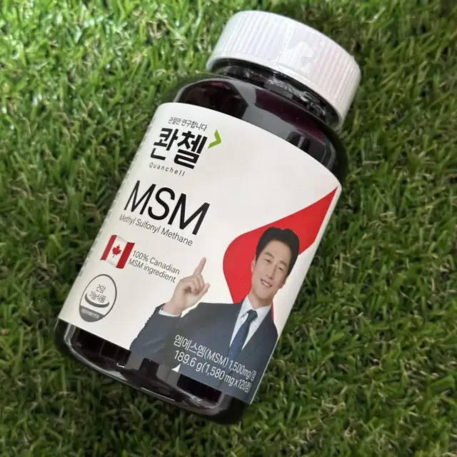 콴첼 msm 관절영양제