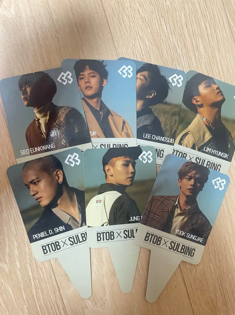 BTOB Nostalgia Snowing Photocard