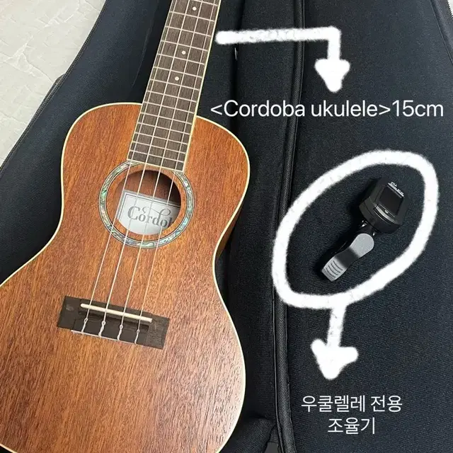 Cordoba(코르도바) 15CM 우쿨렐레 판매