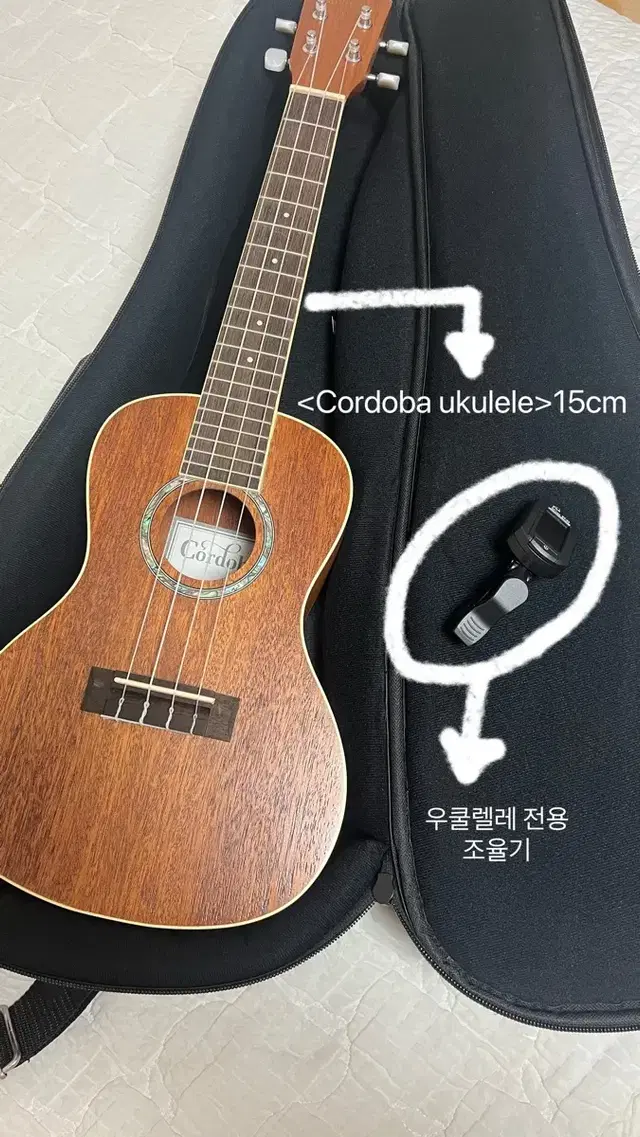 Cordoba(코르도바) 15CM 우쿨렐레 판매