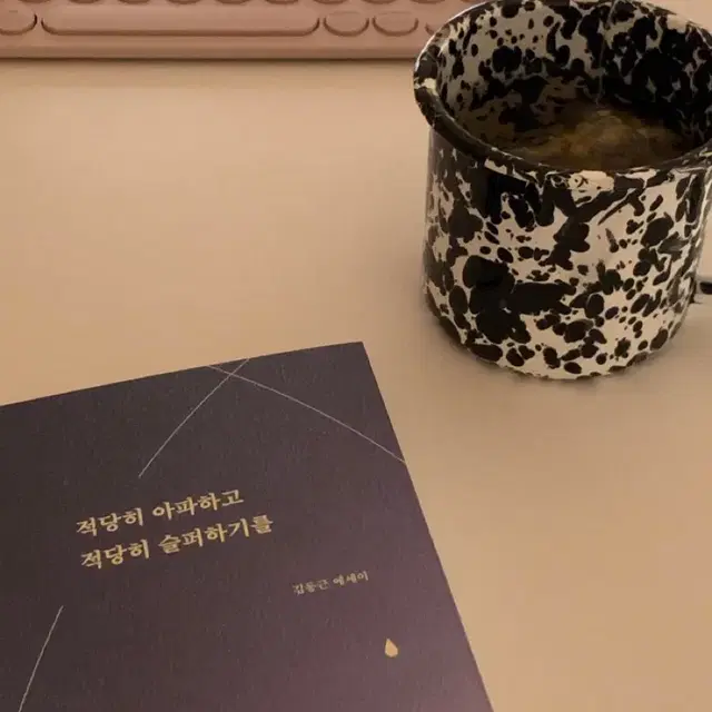 에세이 도서 적당히 아파하고 적당히 슬퍼하기를(교보문고 알라딘)