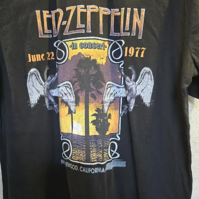 LED ZEPPELIN 오피셜 굿즈 티셔츠!