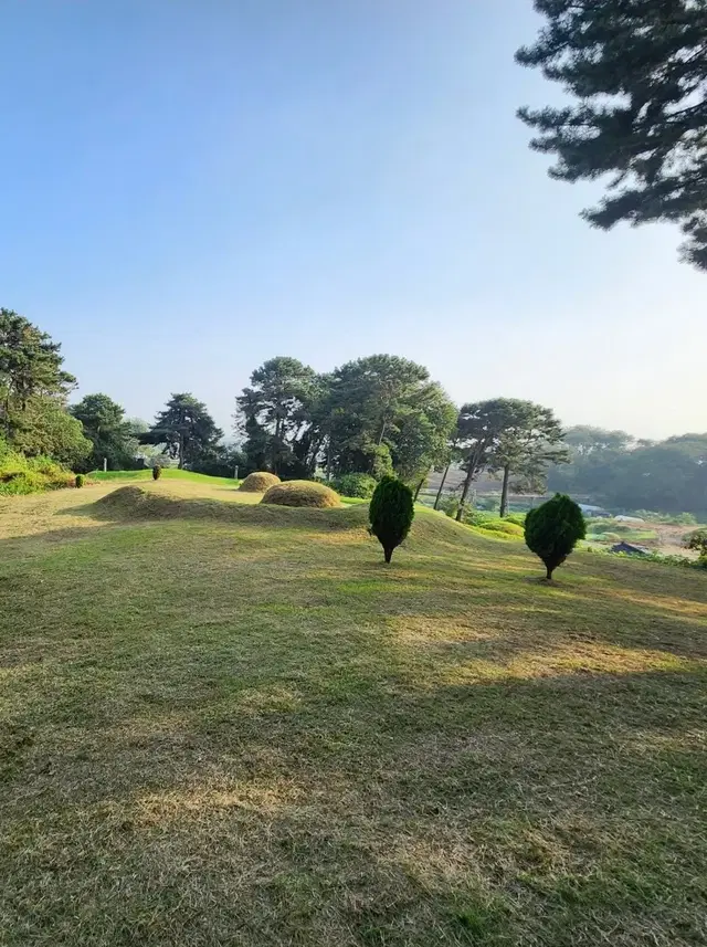 평택 전지역 벌초 해드립니다