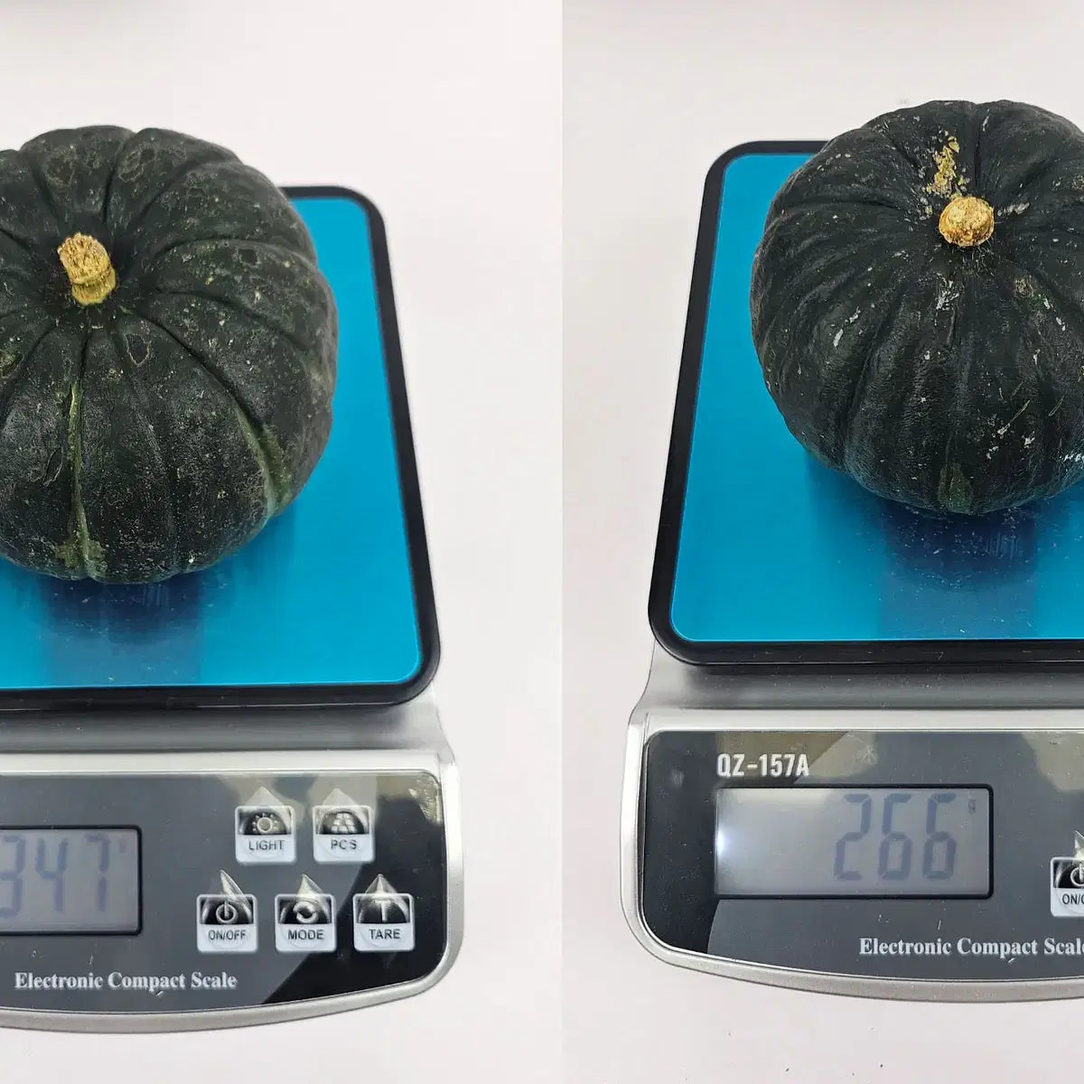 할인) 제주단호박 로얄과 3kg 19,900 다이어트간식