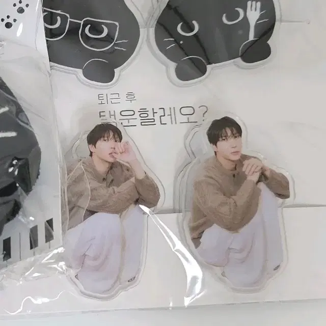 빅스 레오 정택운 택냥이 굿즈 vixx leo