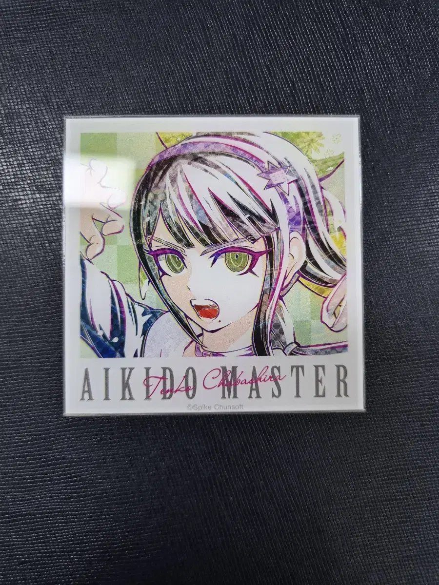 Danganronpa Tenko Acrylic