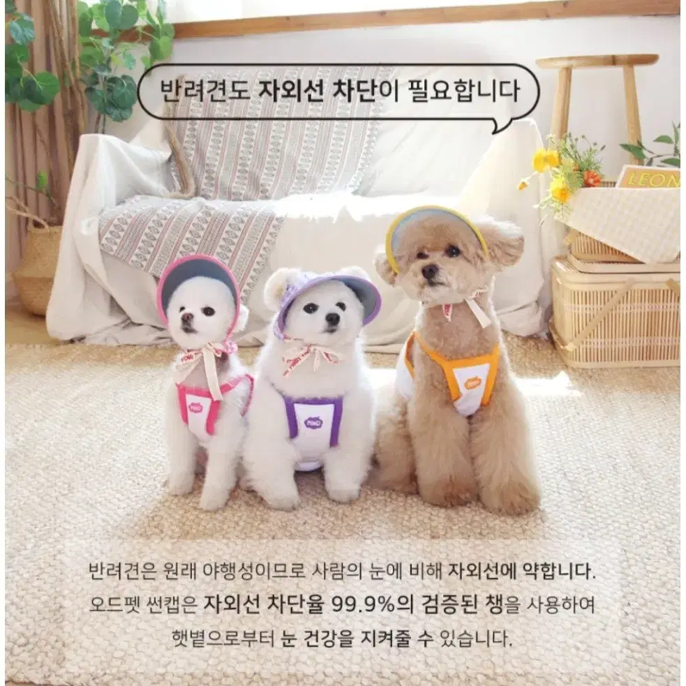 강아지 썬캡 모자 사이즈별 (미개봉새상품)