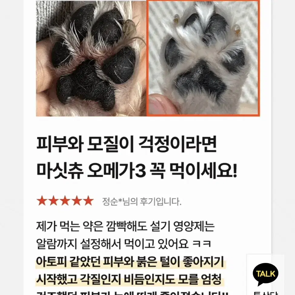 엣츠 마싯츄 오메가3 강아지영양제