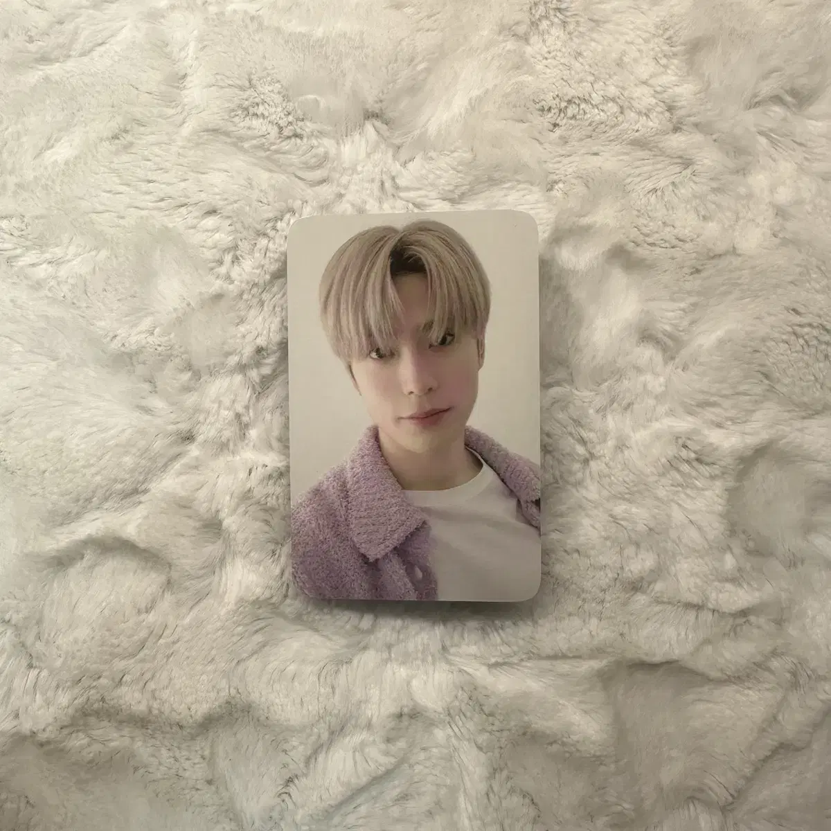 NCT Tojeongjeong Perfume perfume KTOWN4U Catapult jaehyun photocard WTS