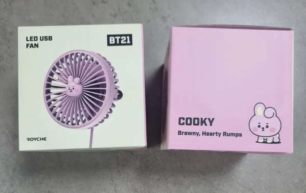 로이체 라인프렌즈 BT21 차량용 usb 선풍기