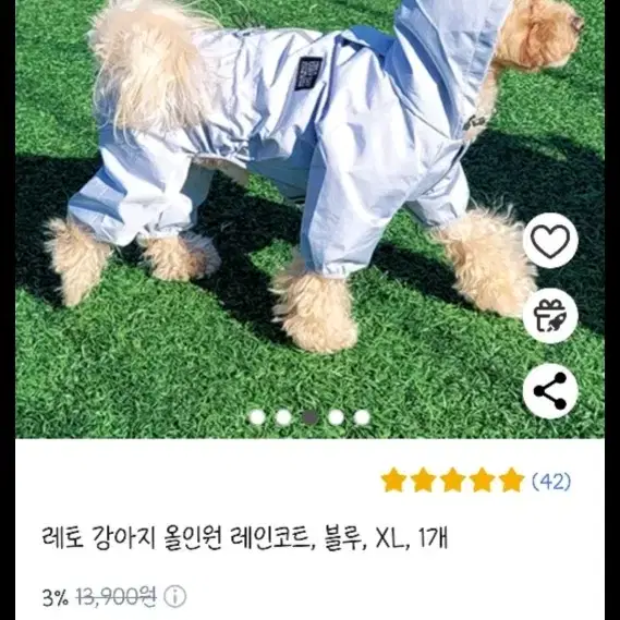 강아지 올인원 우비 XL 새제품