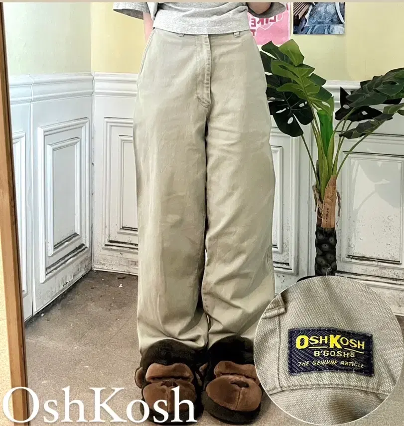 Oshikoshi Beige Standard Fit Pants 31