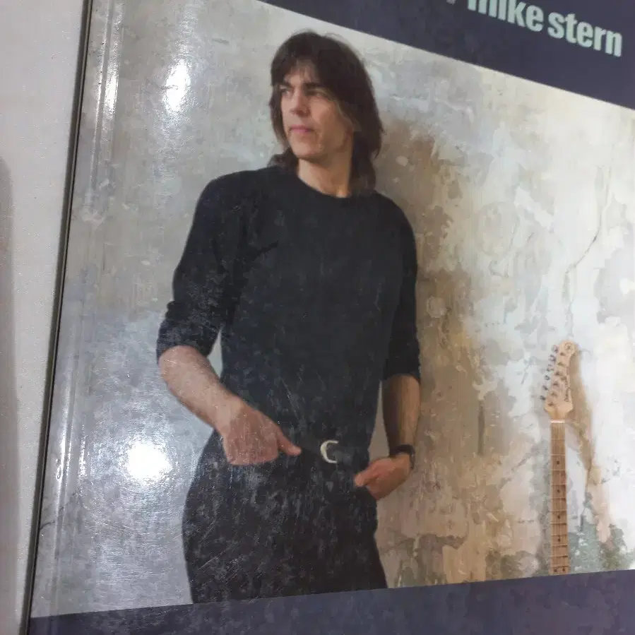 The best of mike stern