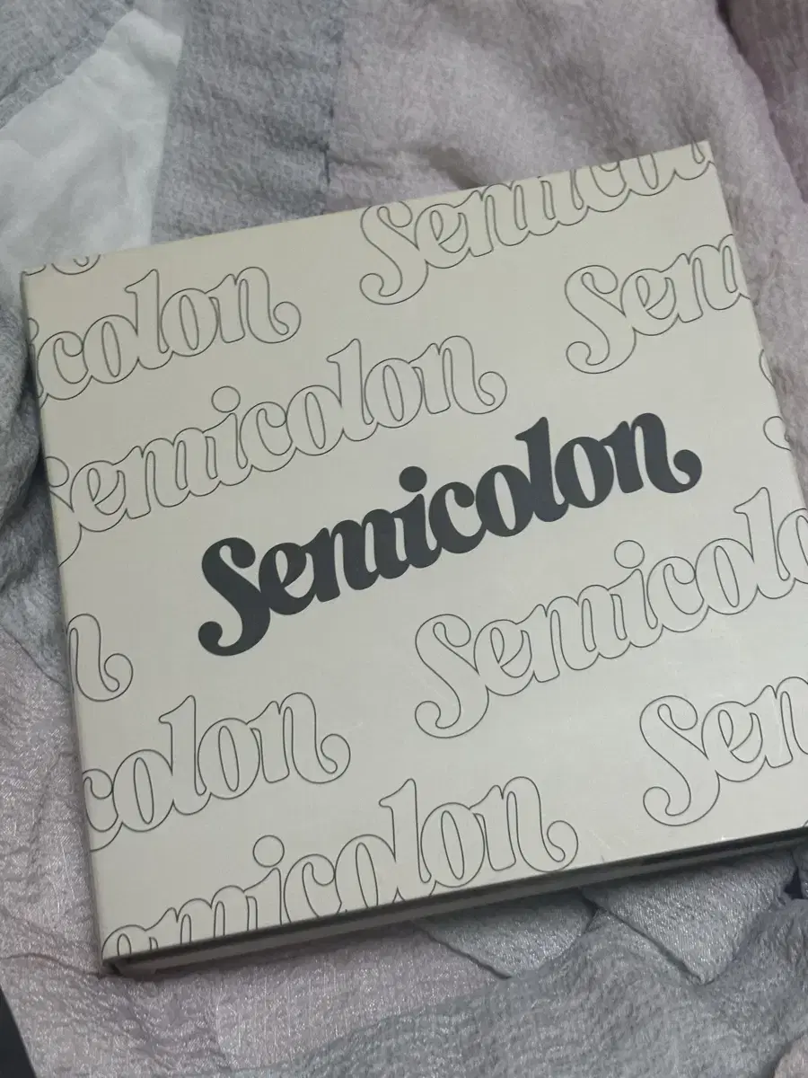 photocardO seventeen semi colon album