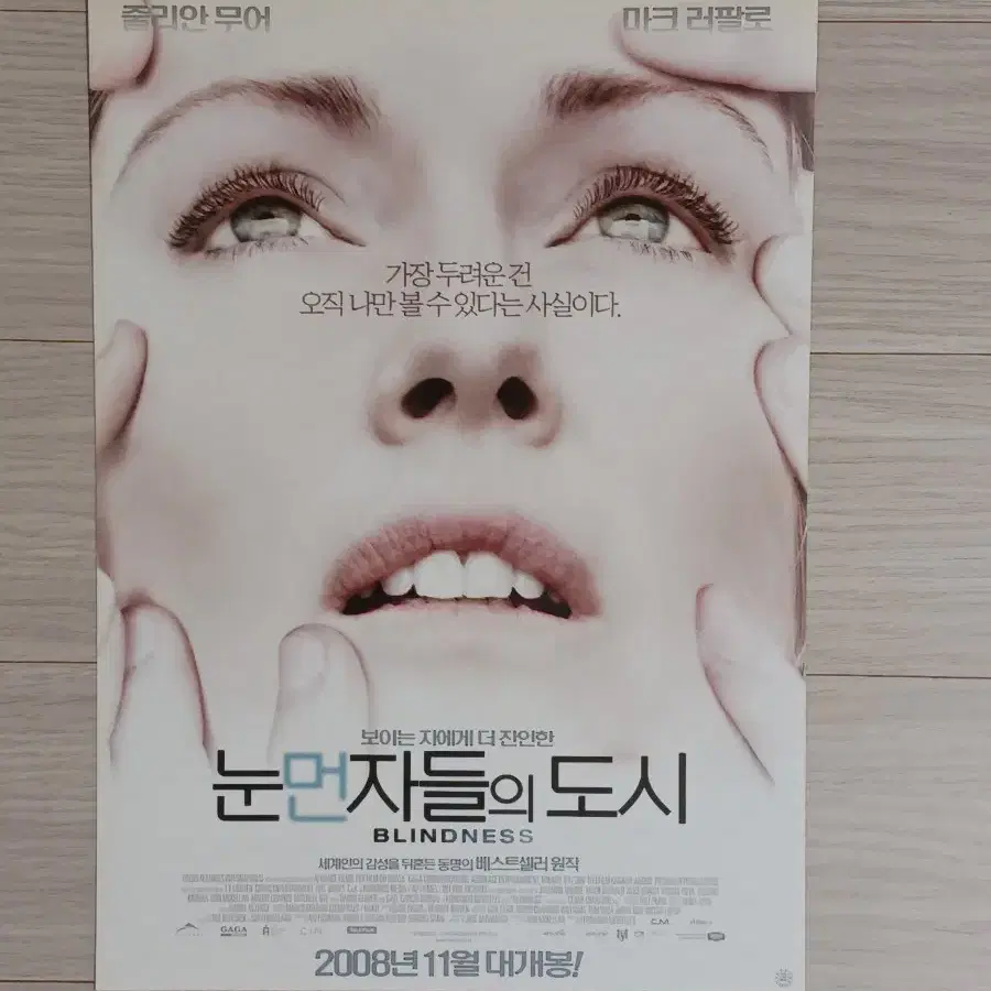 줄리안무어 마크러팔로 눈먼자들의도시(2008년)