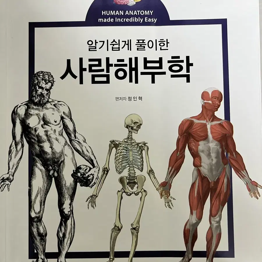 알기쉽게 풀이한 사람해부학 (아카데미아)